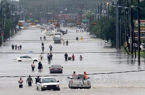Mỹ: Tổng thống Donald Trump tuyên bố tình trạng khẩn cấp do bão tại bang Louisiana