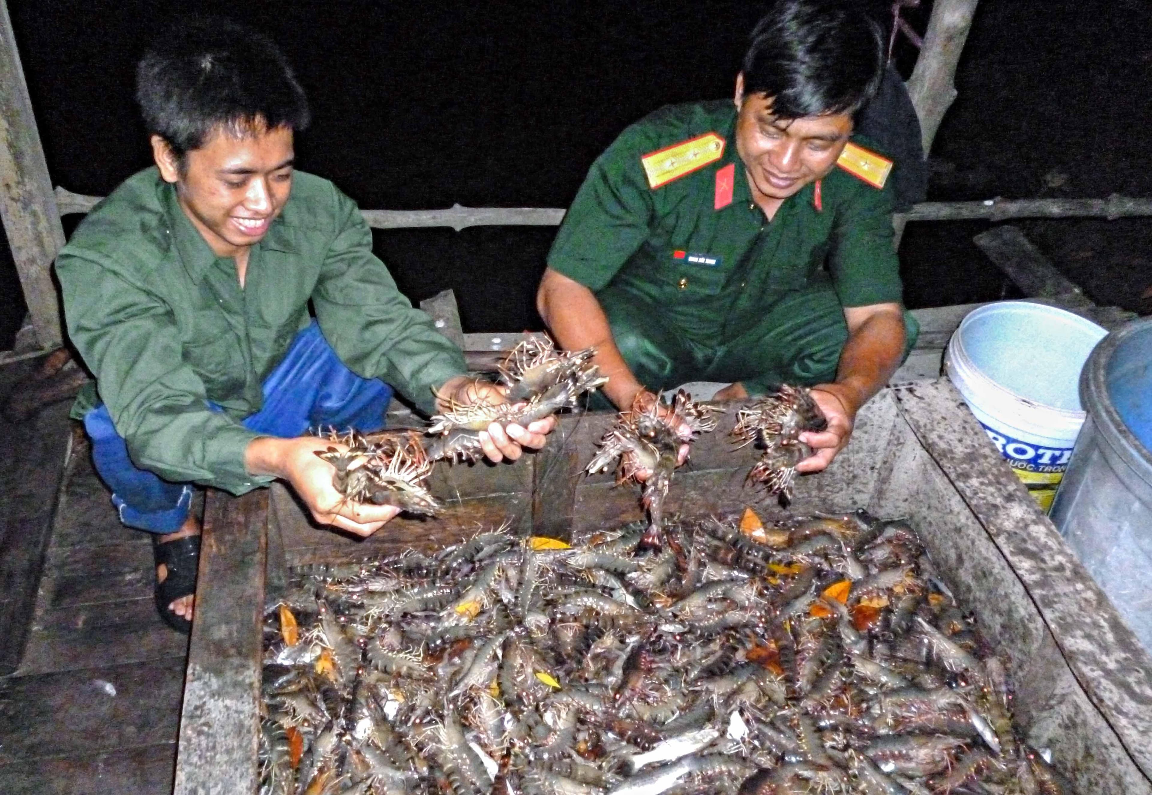 Giúp dân an cư lạc nghiệp ở "rừng tôm"