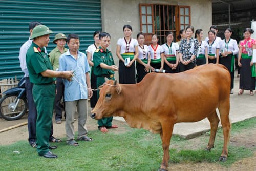 Khởi sắc một vùng biên