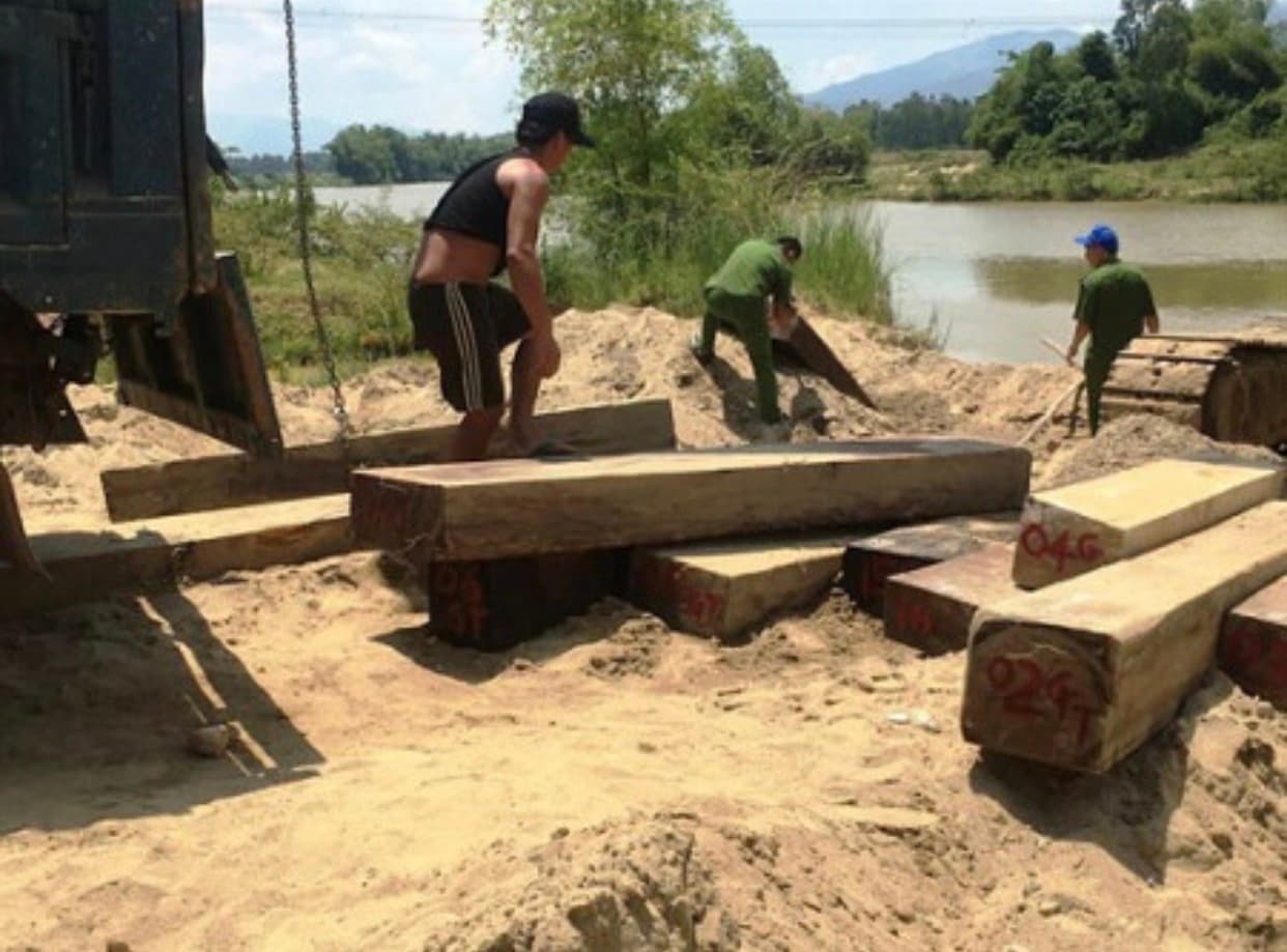 Thông tin từ đường dây nóng