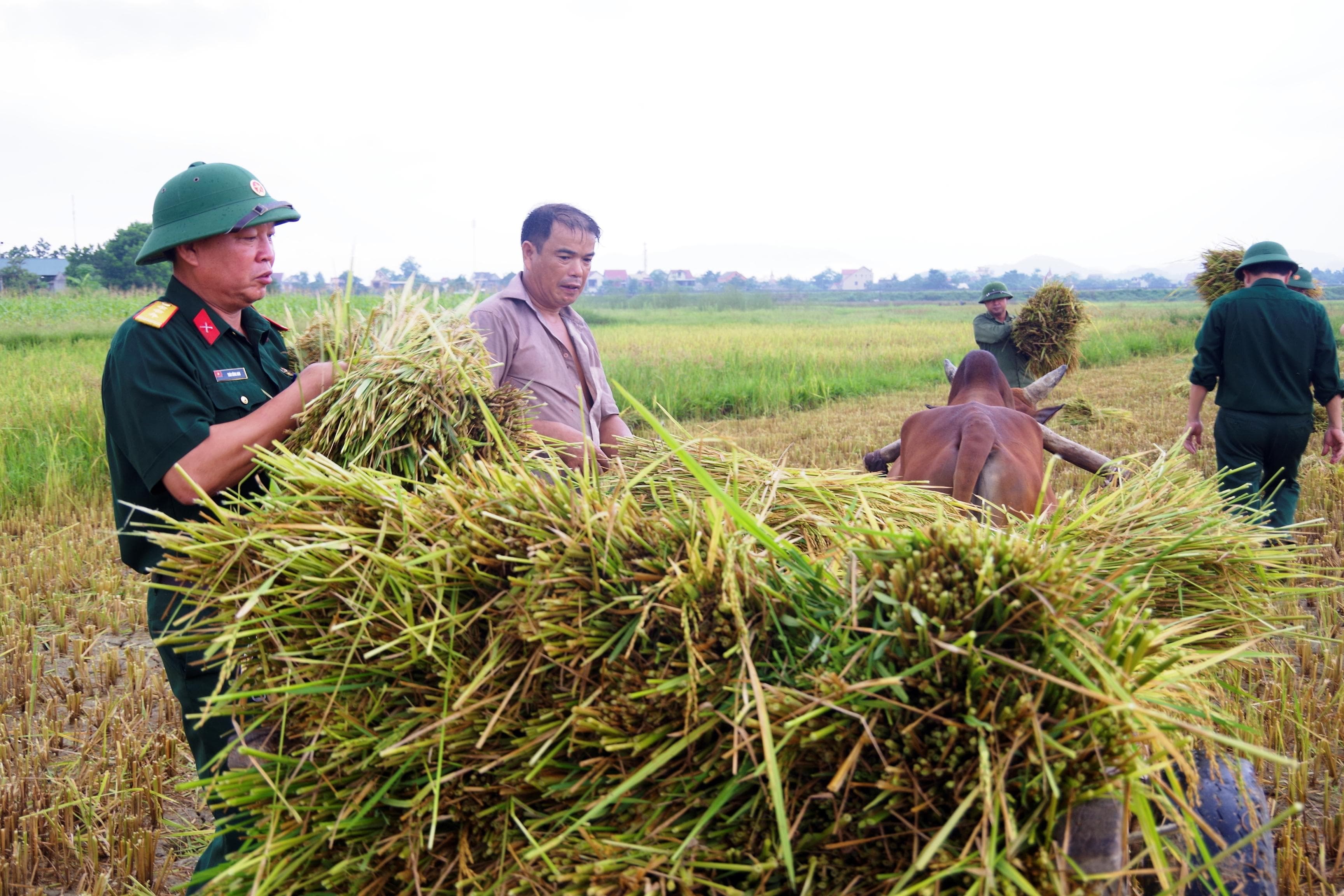 Dốc sức trước khi bão tới