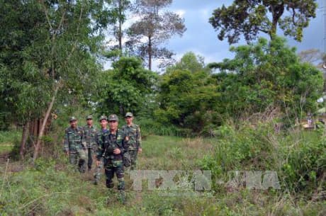 THỰC THI NGHIÊM PHÁP LUẬT ĐỂ BẢO VỆ VÀ PHÁT TRIỂN RỪNG