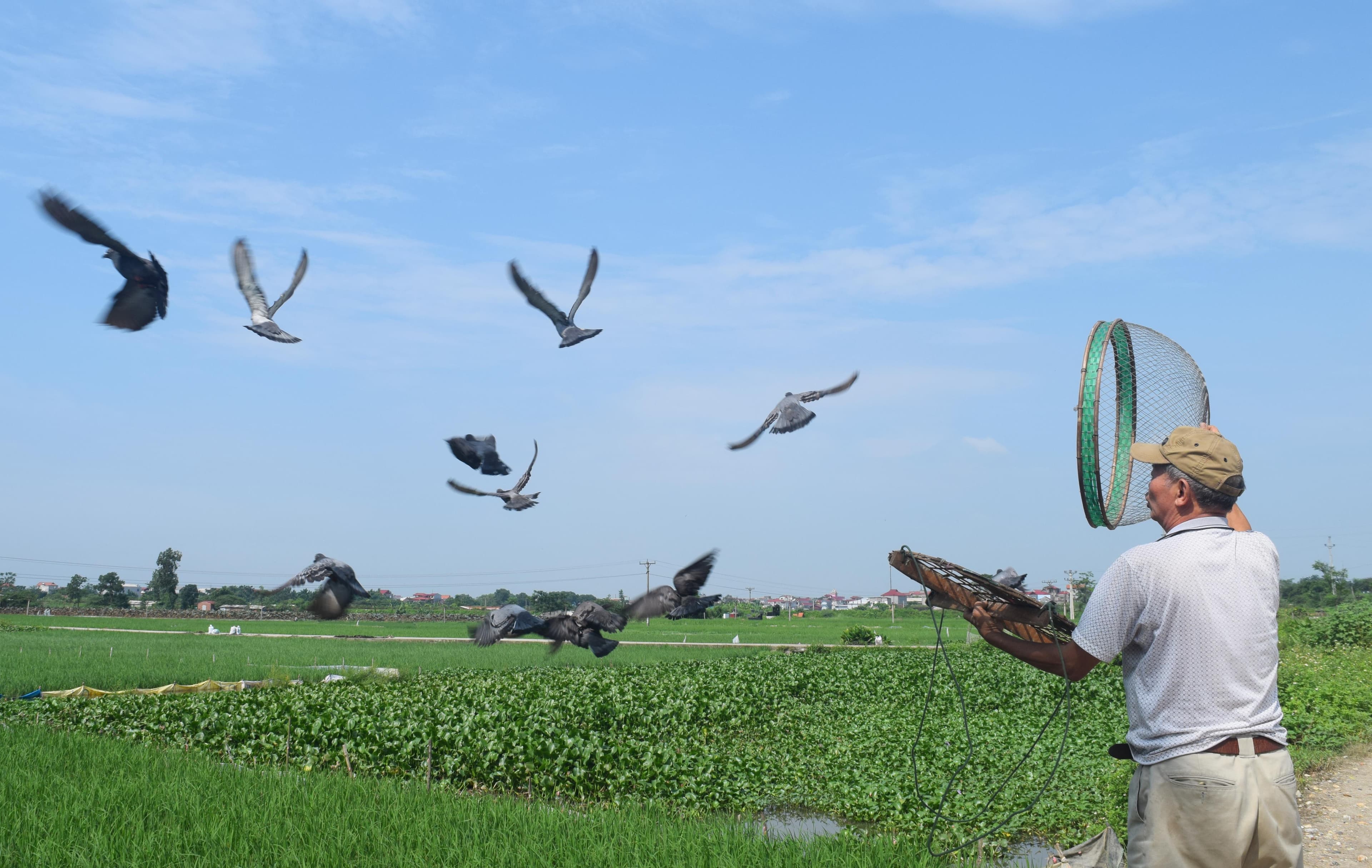 Thú chơi tao nhã với ước vọng hòa bình