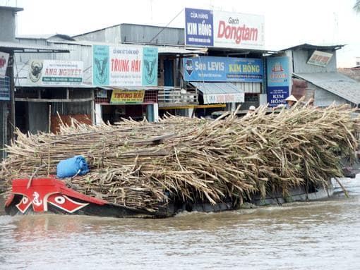 Đường tồn kho lớn-do đâu?