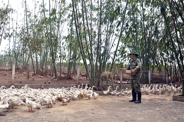 Hiệu quả từ mô hình bảo đảm hậu cần hai cấp