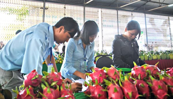TP Cần Thơ: Hơn 90% doanh nghiệp có tổ chức Đảng kinh doanh hiệu quả