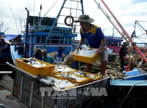 Bài 5: Phát triển hộ kinh doanh cá thể thành doanh nghiệp