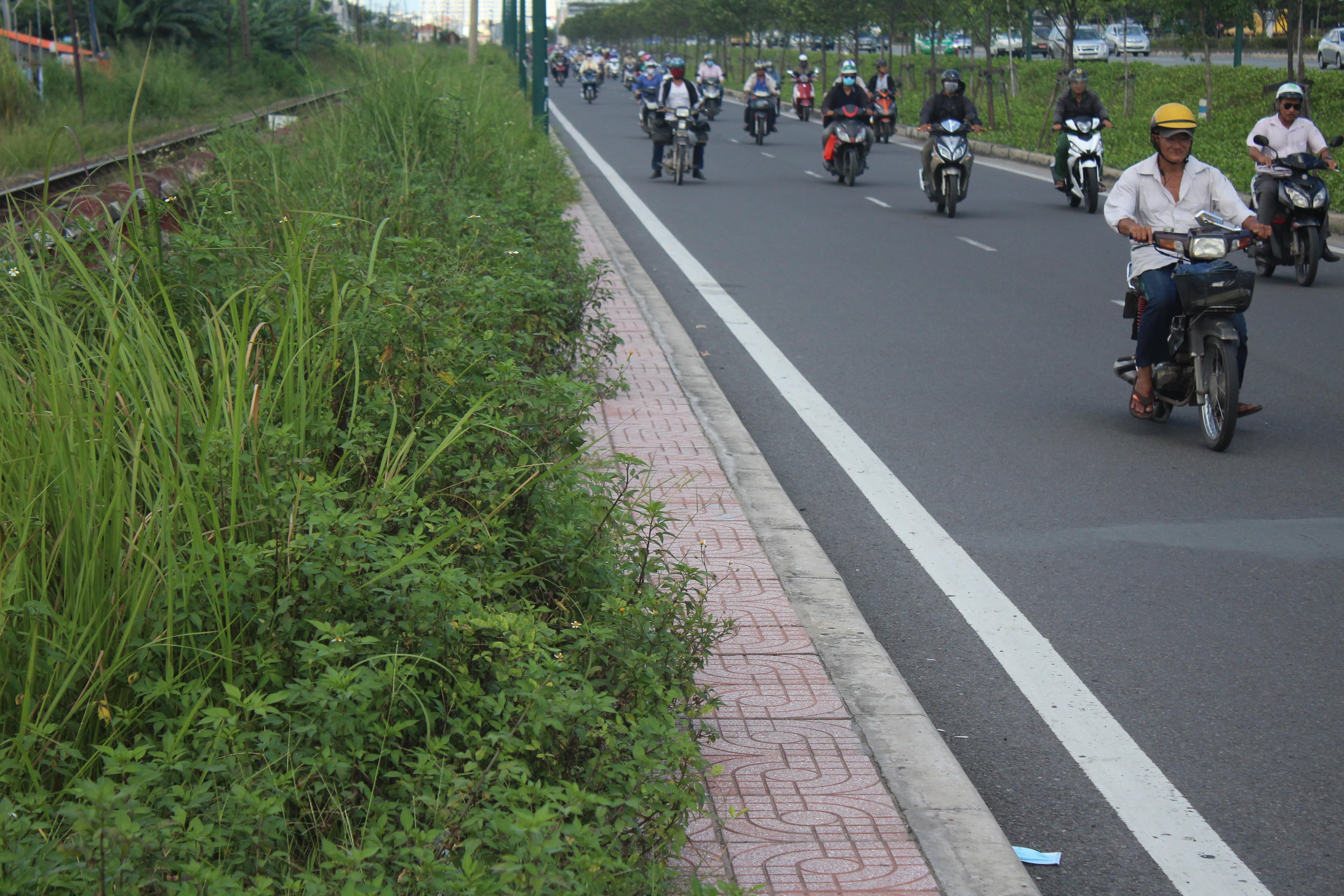 Cỏ cây “lấn chiếm” vỉa hè