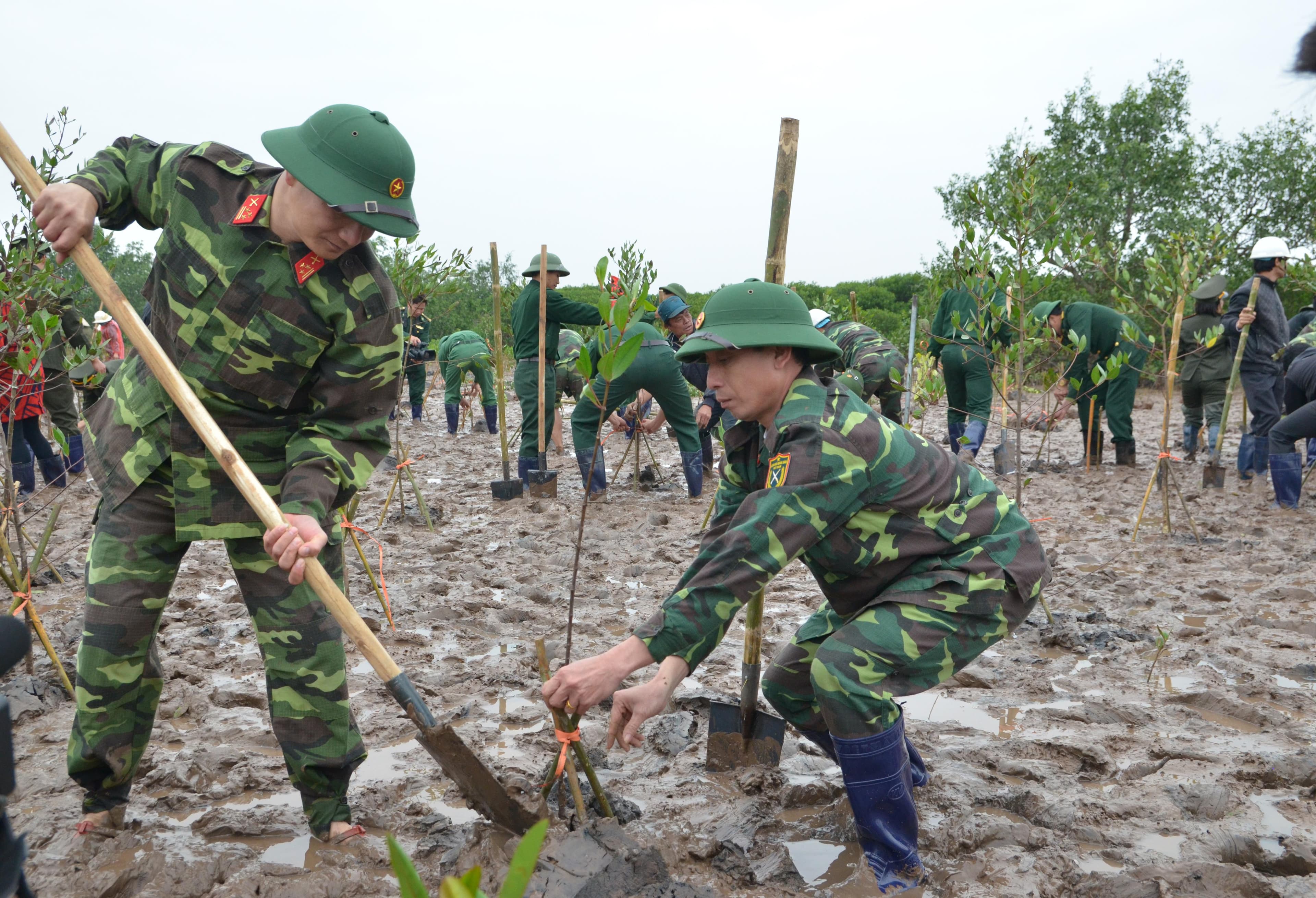 Phát triển bền vững nguồn tài nguyên “vàng xanh” của đất nước