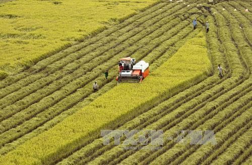 Kiên trì thực hiện tăng trưởng bền vững