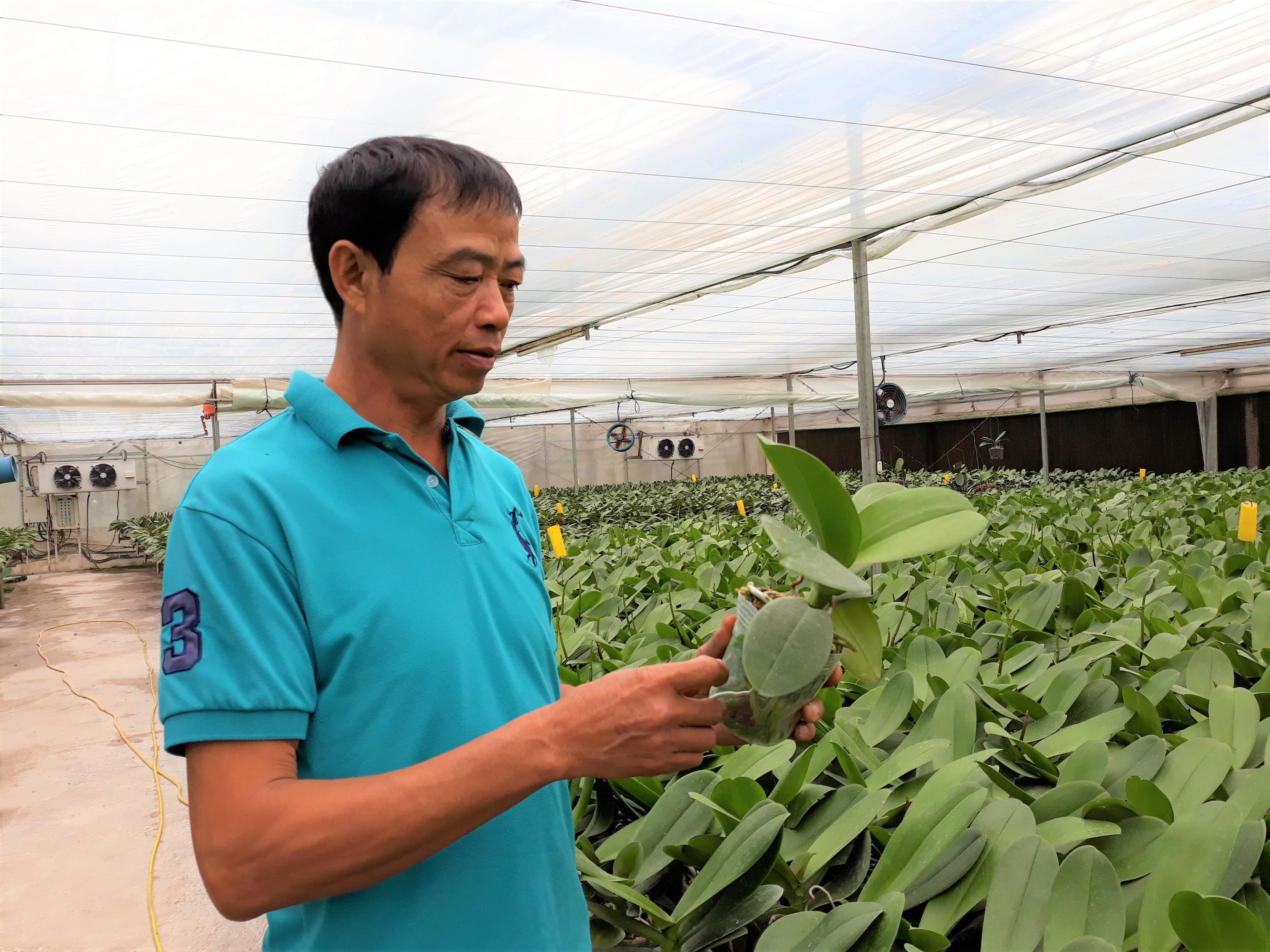 Chương Mỹ đẩy mạnh phát triển hợp tác xã kiểu mới