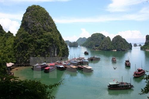 Đình chỉ hoạt động thuyền trưởng và tàu du lịch vi phạm trên vịnh Hạ Long