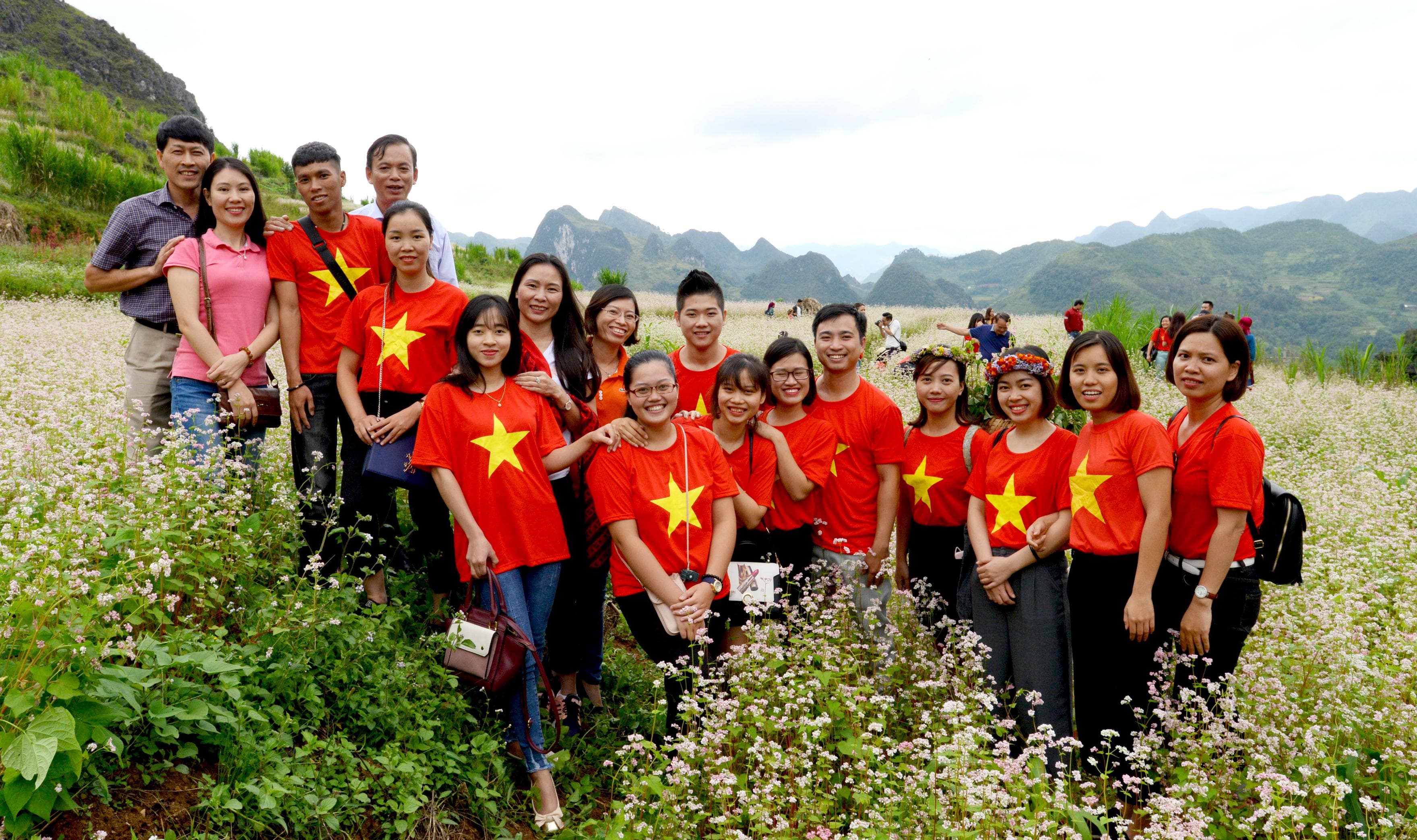 Quyến rũ rừng hoa tam giác mạch