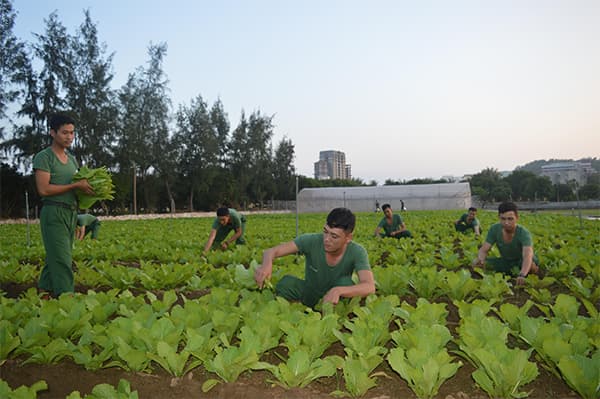 Tăng gia hiệu quả trên vùng đất ven biển