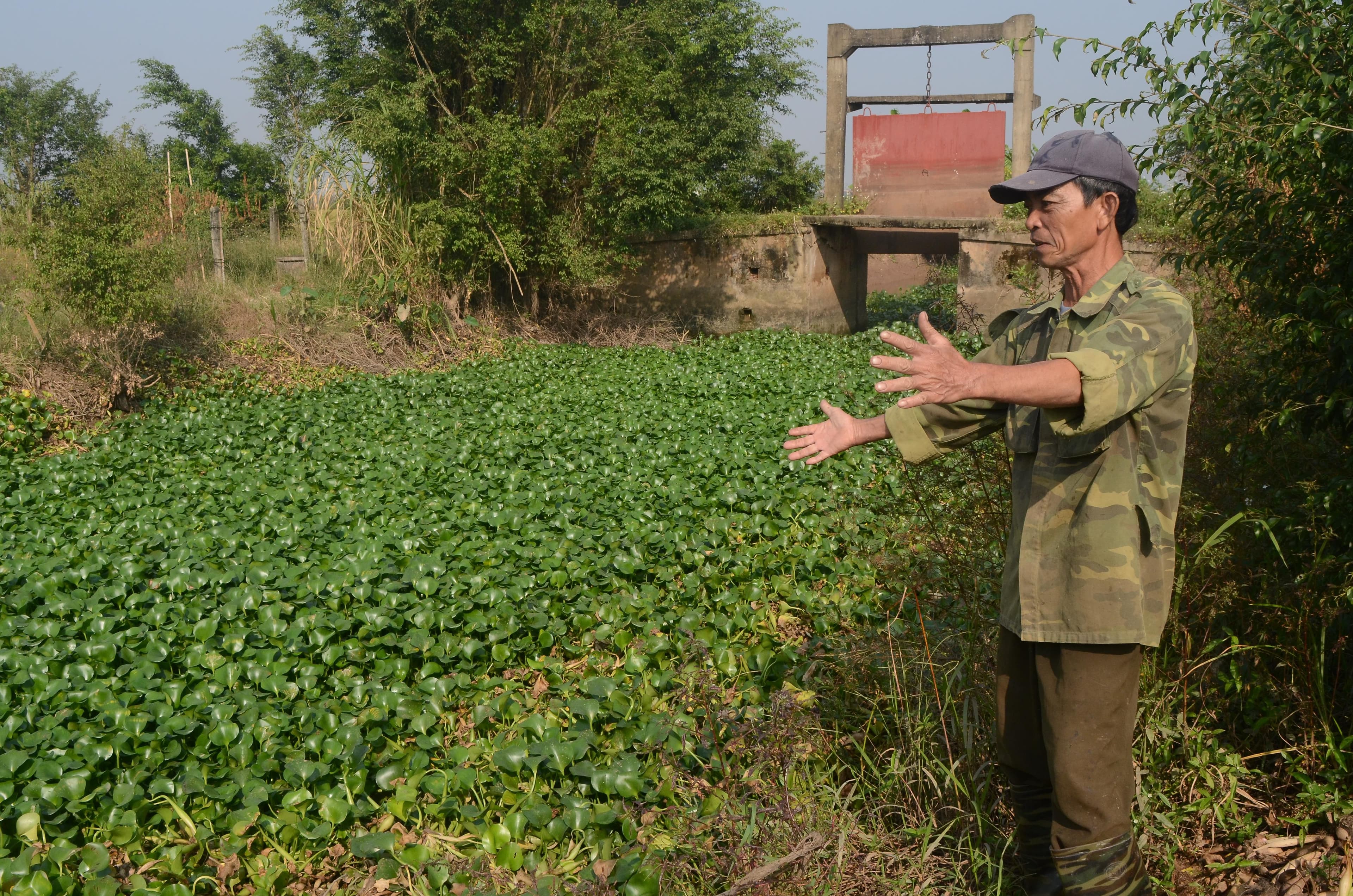 Hệ thống thủy lợi chưa phát huy tác dụng