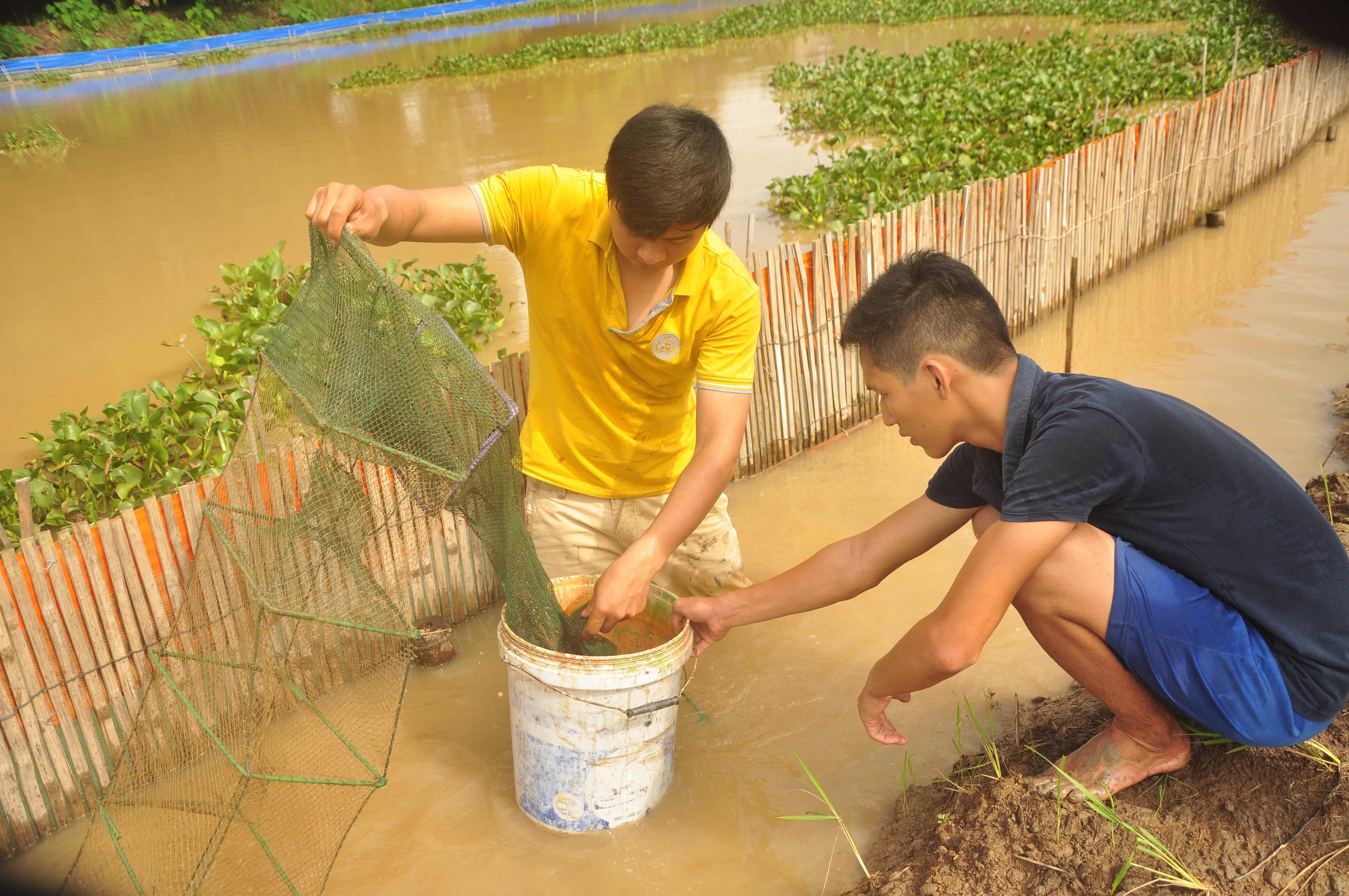 Nuôi cua đồng tạo kinh phí hoạt động