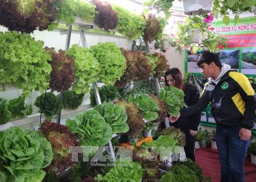Kinh tế Việt Nam năm 2017: Bước chuyển quan trọng về chất