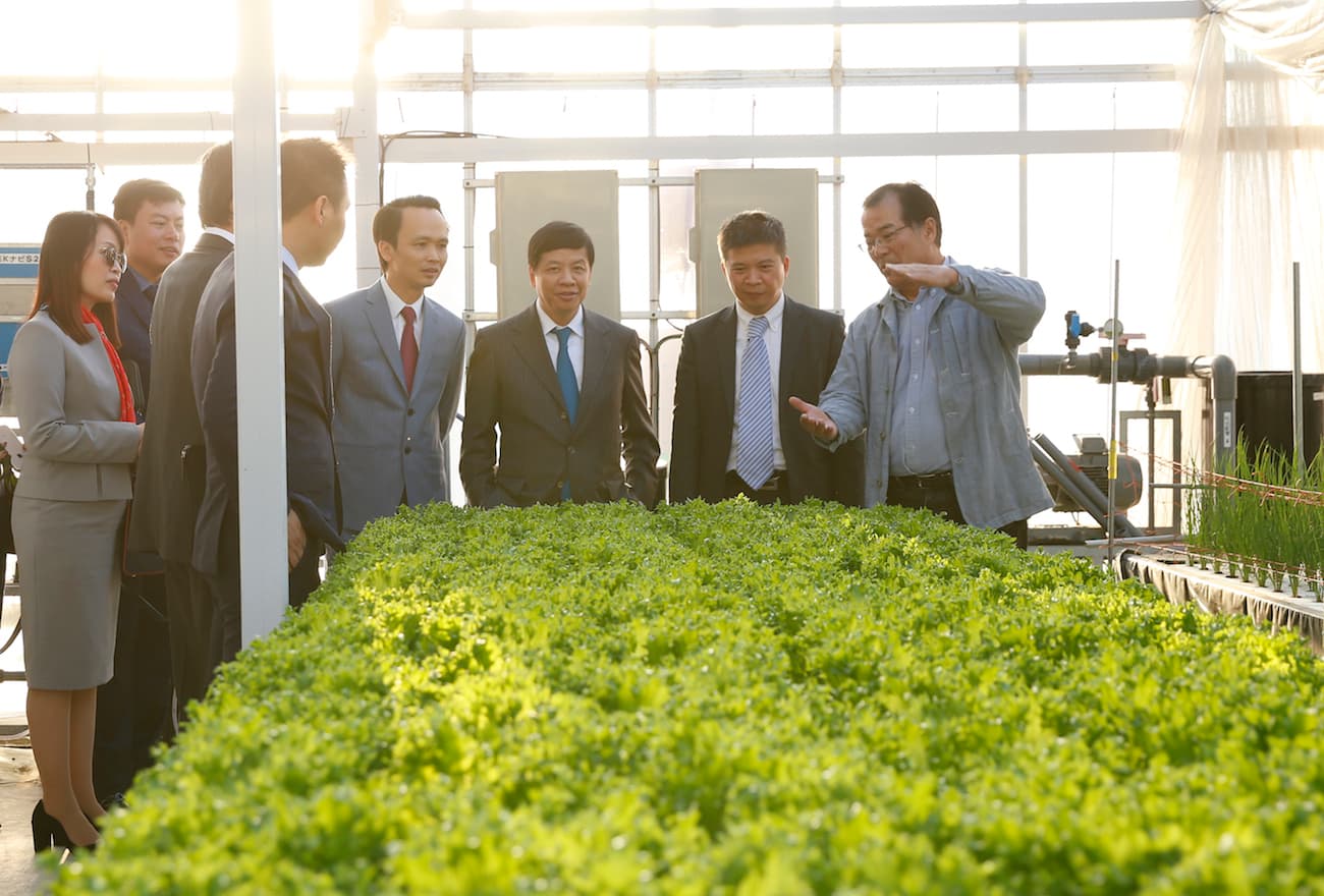 FLC - Farmdo bắt tay làm nông nghiệp và duyên cầu nối từ vị Đại sứ
