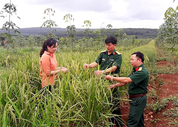 Bài 3: Những vụ mùa trĩu hạt