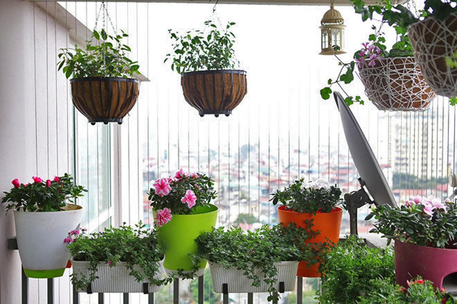 Hiểm họa từ chậu cảnh trên cao
