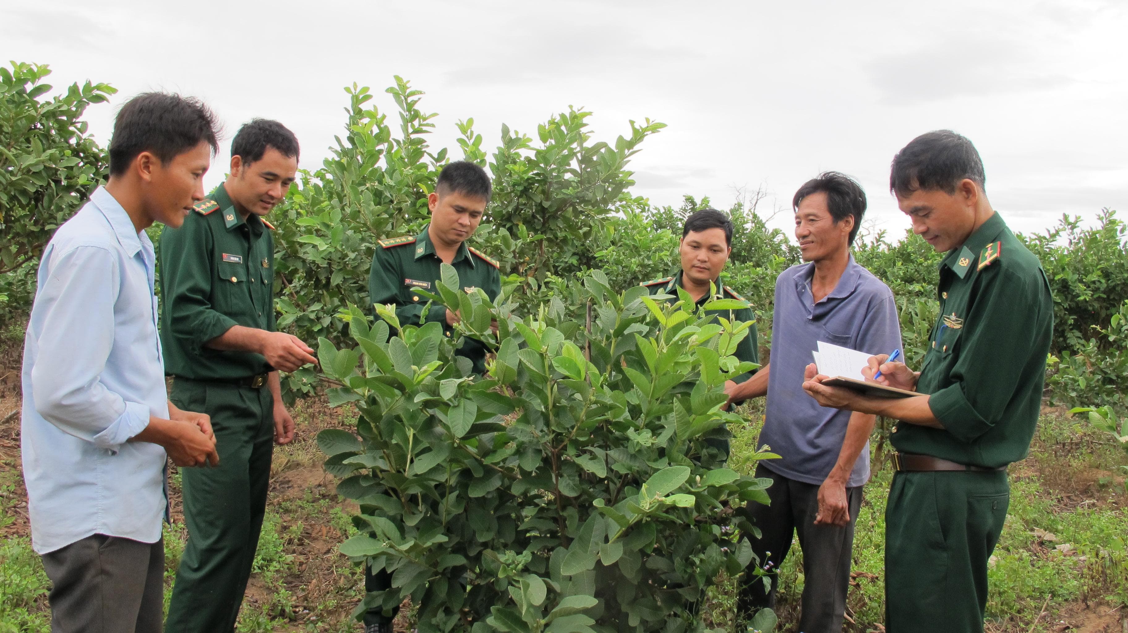 Quân - dân chung sức phát triển vùng biên Ea Súp
