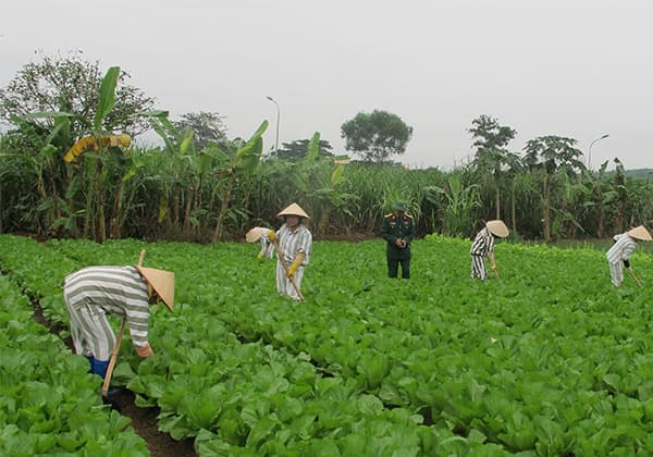 Hành trang phục thiện