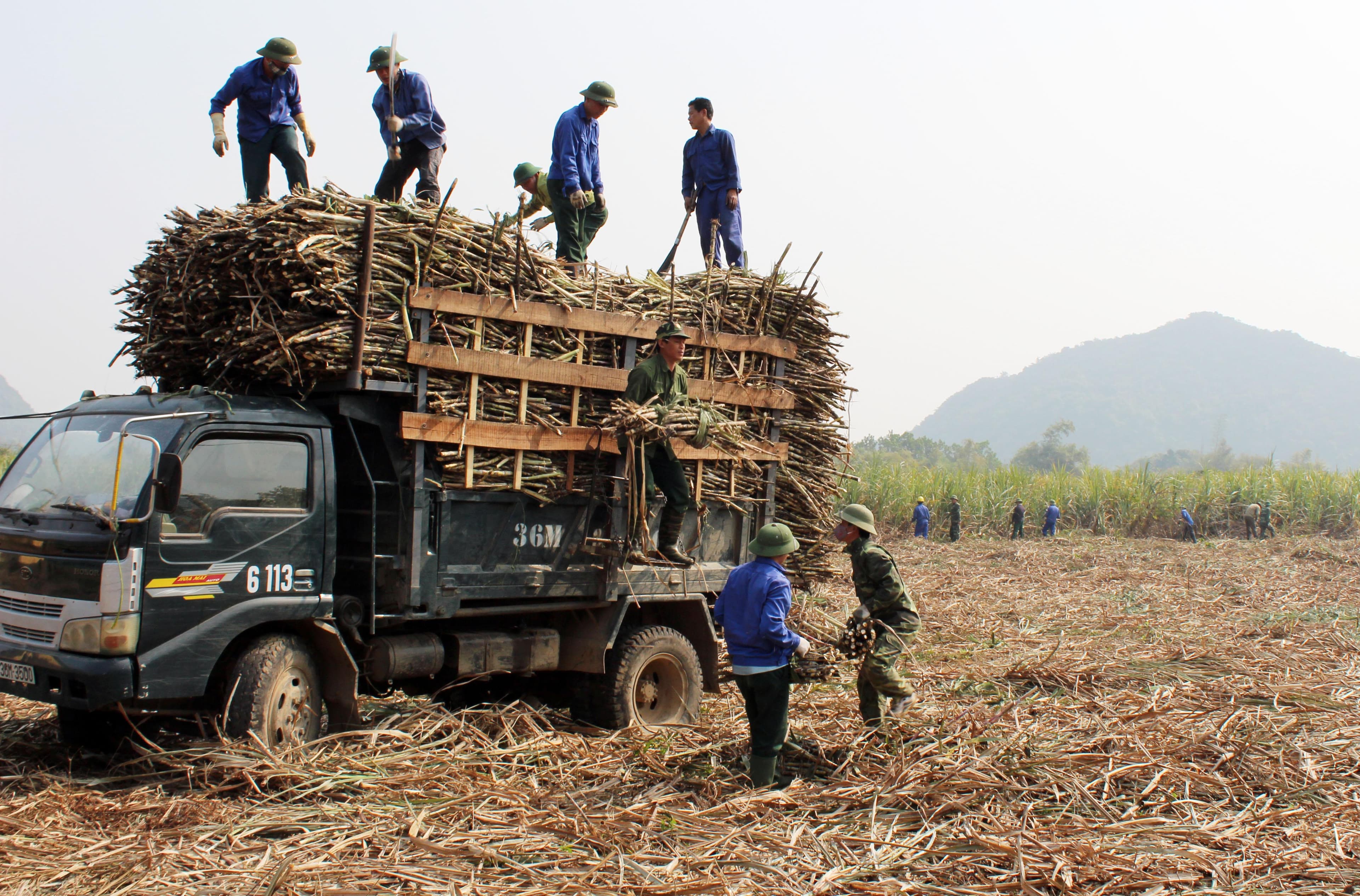 Lập "phòng tuyến" lòng dân