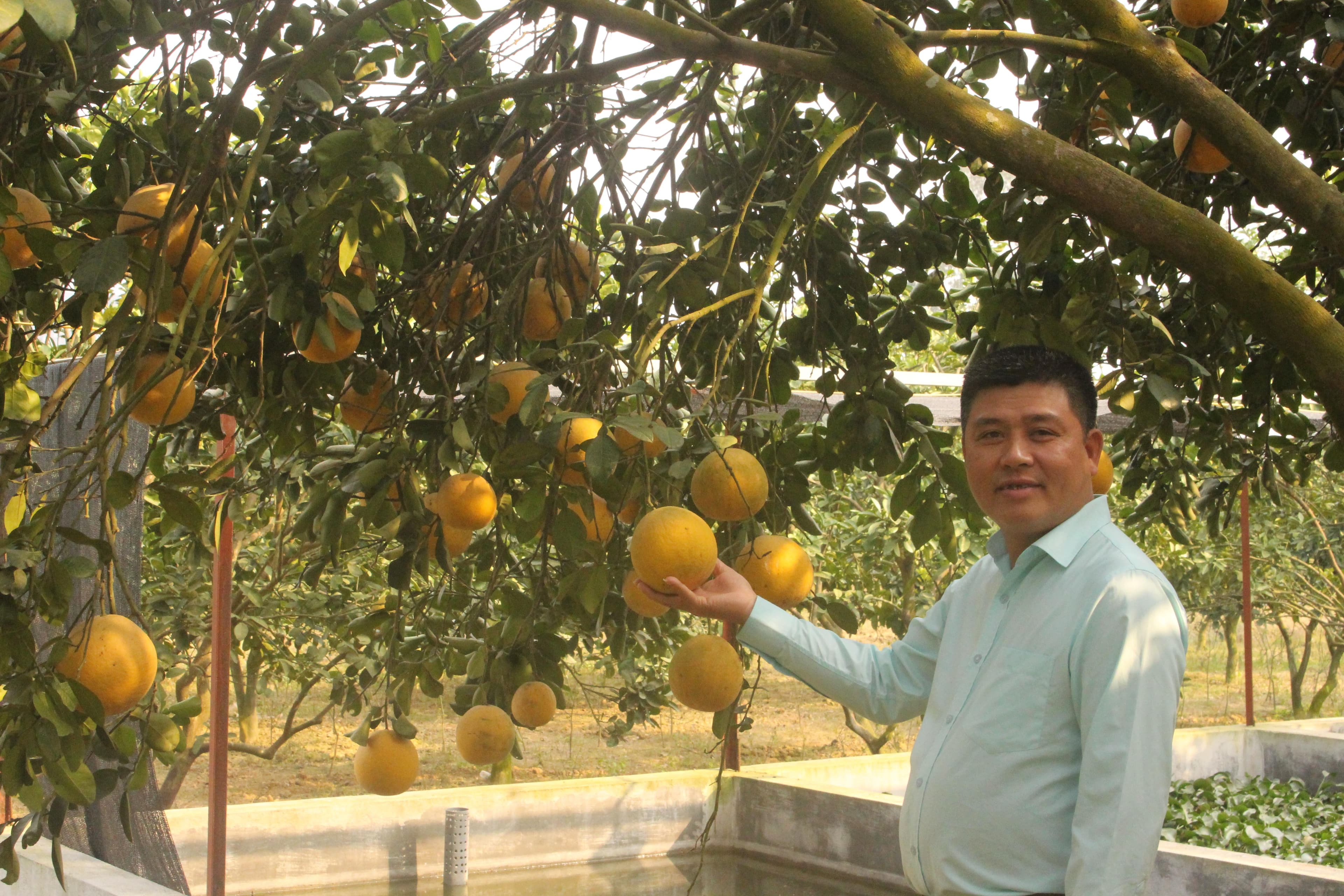 Món quà gửi ra đảo...