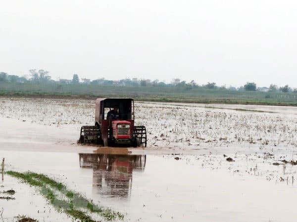 Hơn 328.000ha đã có nước gieo cấy vụ Đông Xuân