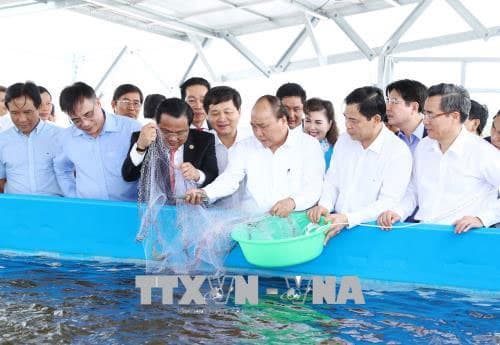 Thủ tướng Nguyễn Xuân Phúc: Thúc đẩy quá trình sản xuất tôm ở Bạc Liêu theo hướng công nghiệp toàn diện về mọi mặt