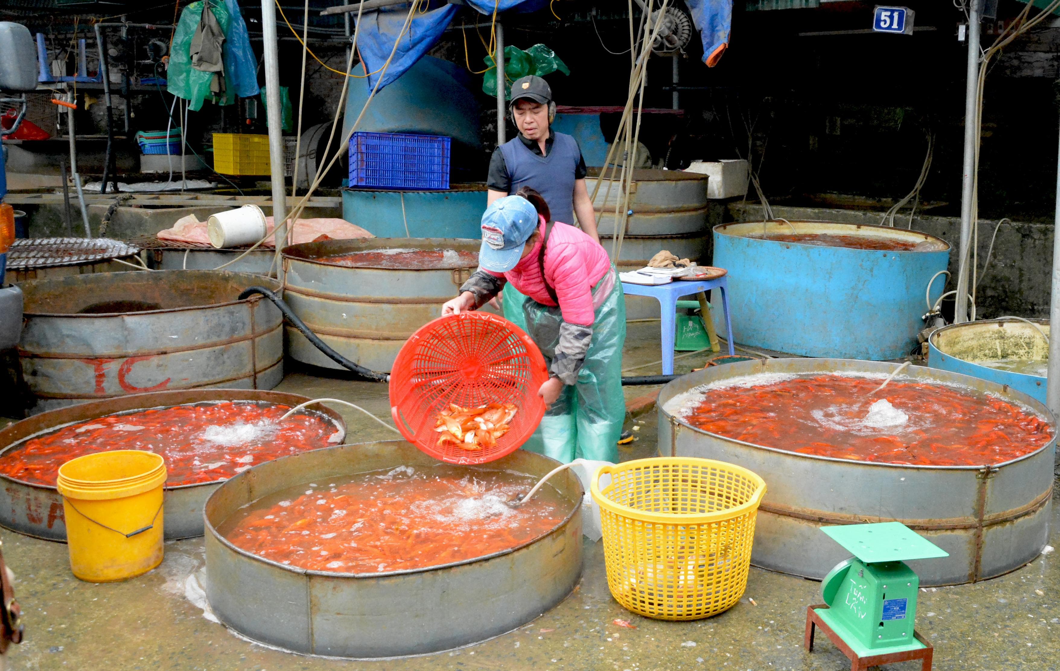 Nhộn nhịp chợ “xe’ Táo quân