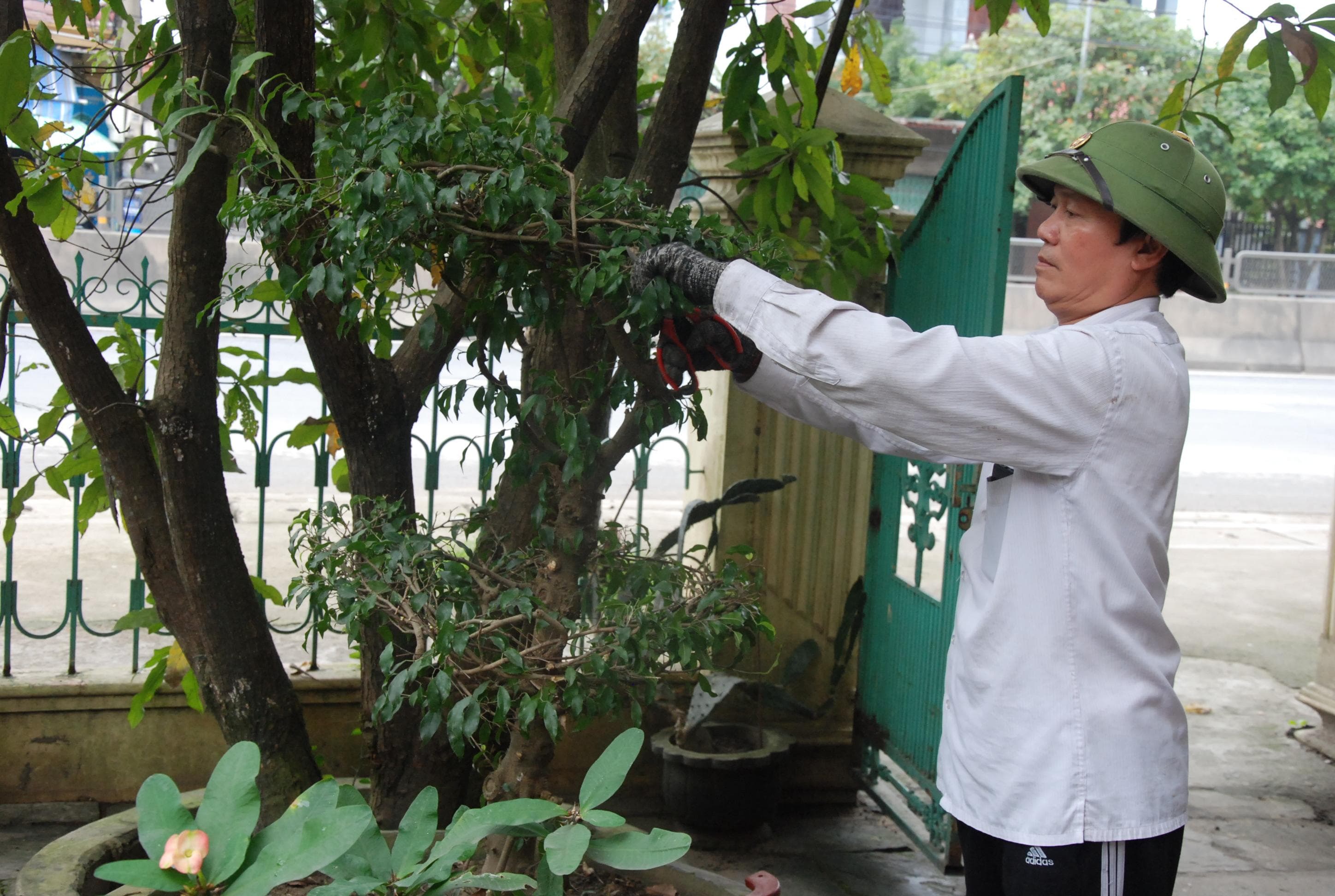 Vẹn nghĩa tình với quê hương, đồng đội