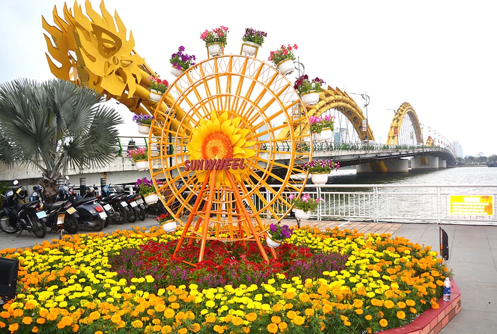 Đà Nẵng đường hoa rực rỡ đón Xuân Mậu Tuất