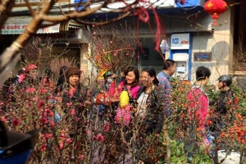 Thời tiết 3 miền khá đẹp vào dịp Tết Nguyên Đán