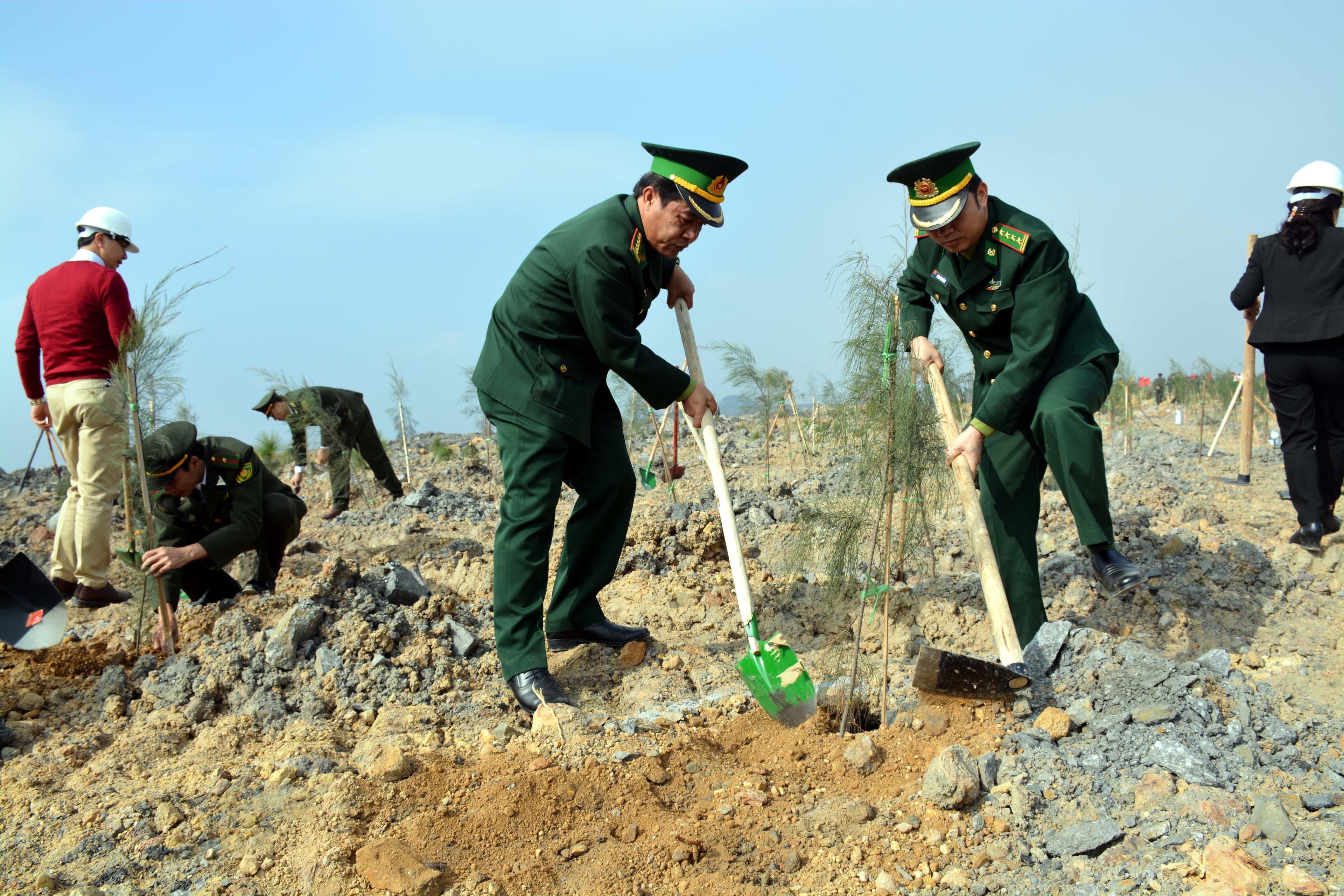 Tích cực trồng cây, phát triển rừng ứng phó biến đổi khí hậu