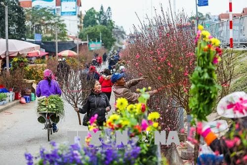 Nhộn nhịp đường xuân...