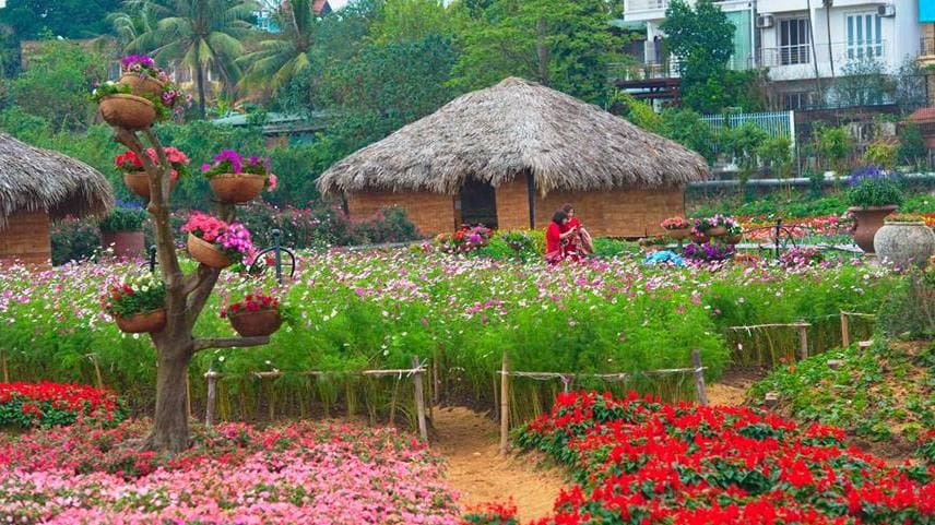 Lễ hội hoa Xuân-điểm đến của những người yêu hoa