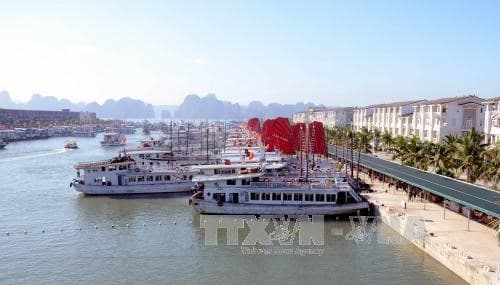 Tạm đình chỉ 3 tàu du lịch vi phạm các quy định hoạt động trên vịnh Hạ Long