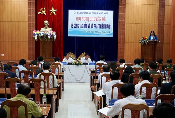 Quảng Nam: Đề xuất nhiều biện pháp quản lý, bảo vệ và phát triển rừng