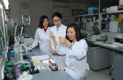 Sửa luật để nâng cao chất lượng giáo dục đại học