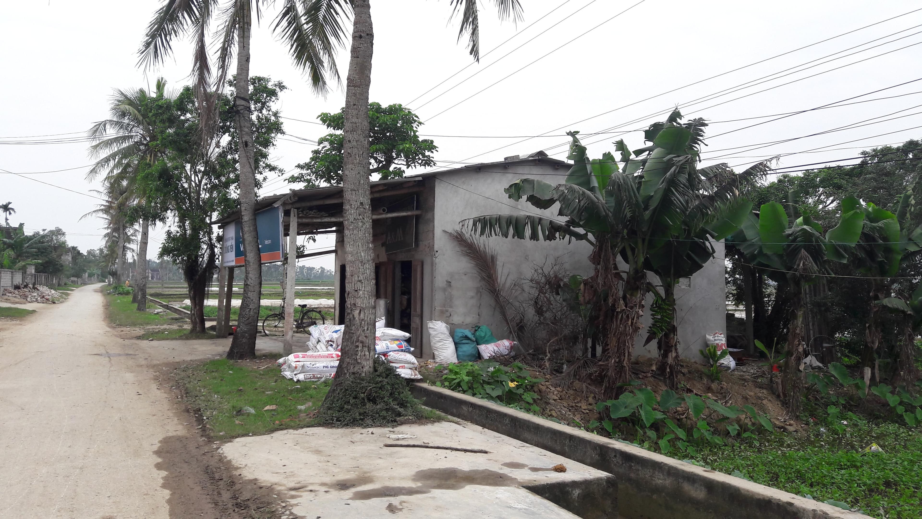 Cần được xử lý dứt điểm