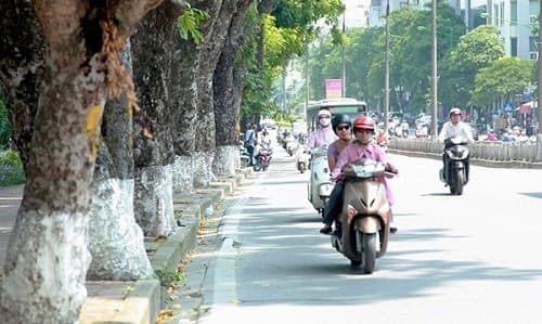Miền Bắc không mưa, sáng sớm có sương mù, nhiệt độ tăng nhẹ