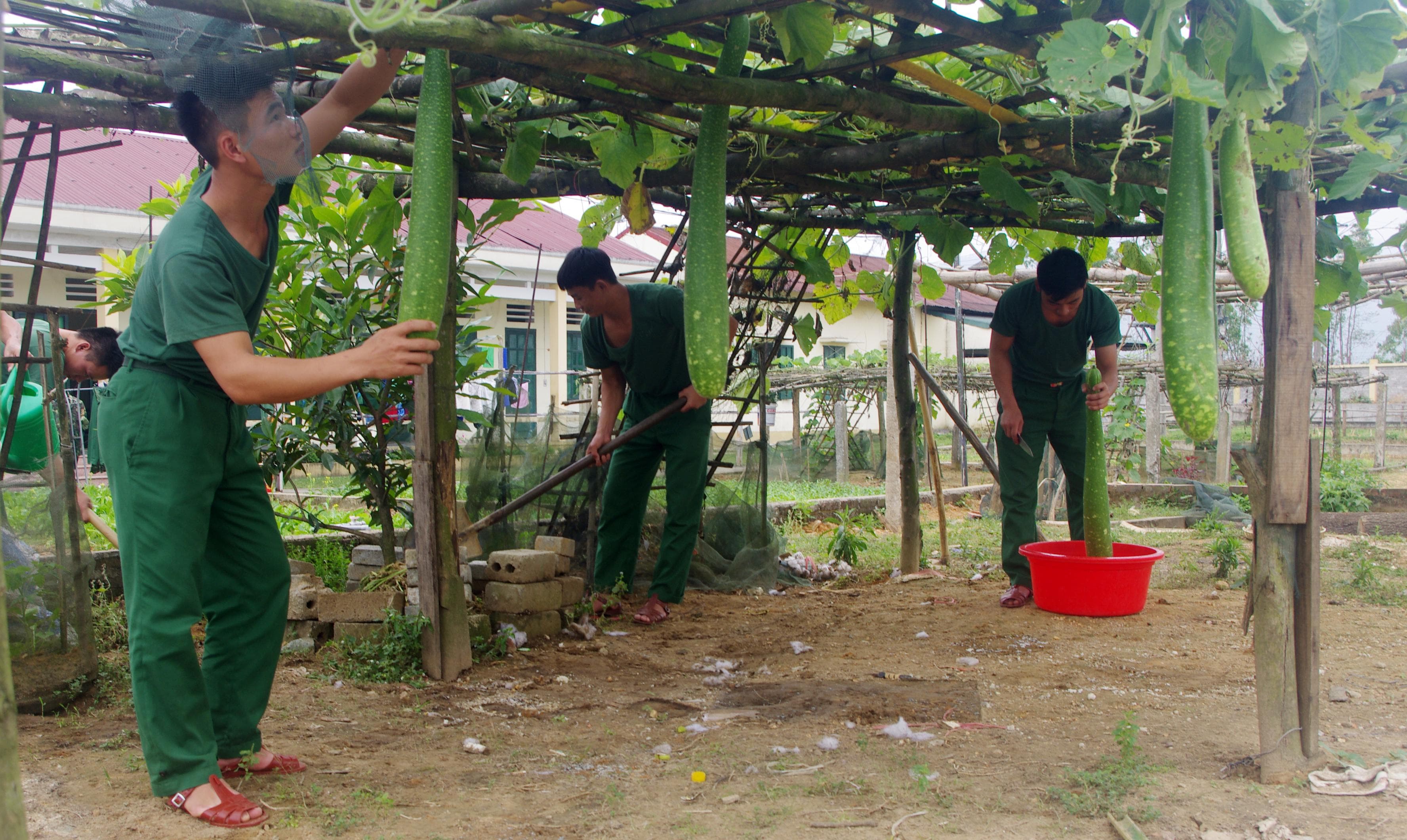 Sáng tạo, vượt khó trong bảo đảm tài chính