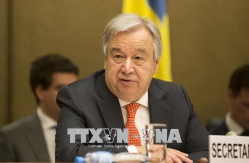 TTK LHQ kêu gọi HĐBA không để tình hình Syria vượt tầm kiểm soát