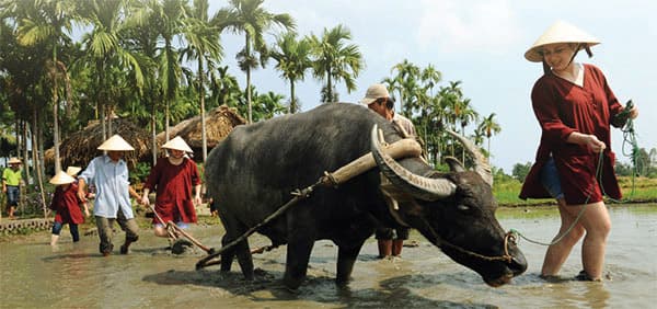 HOMESTAY VÀ NGUY CƠ LẠC ĐIỆU!