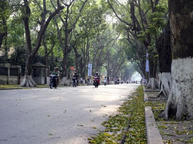 Bắc Bộ, Trung Bộ giảm mưa, thời tiết mát mẻ
