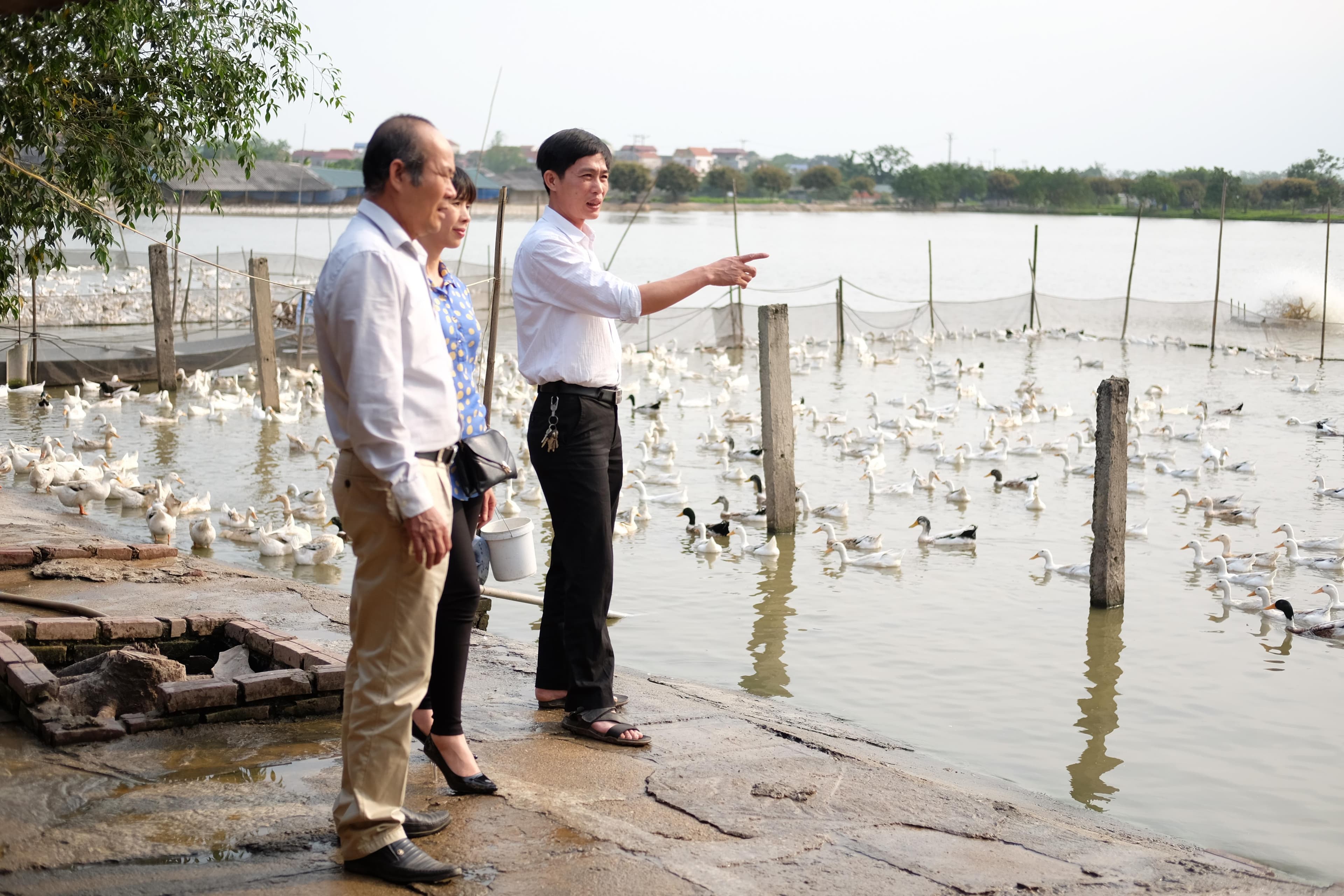Thúc đẩy sản xuất nông nghiệp thông qua Quỹ khuyến nông