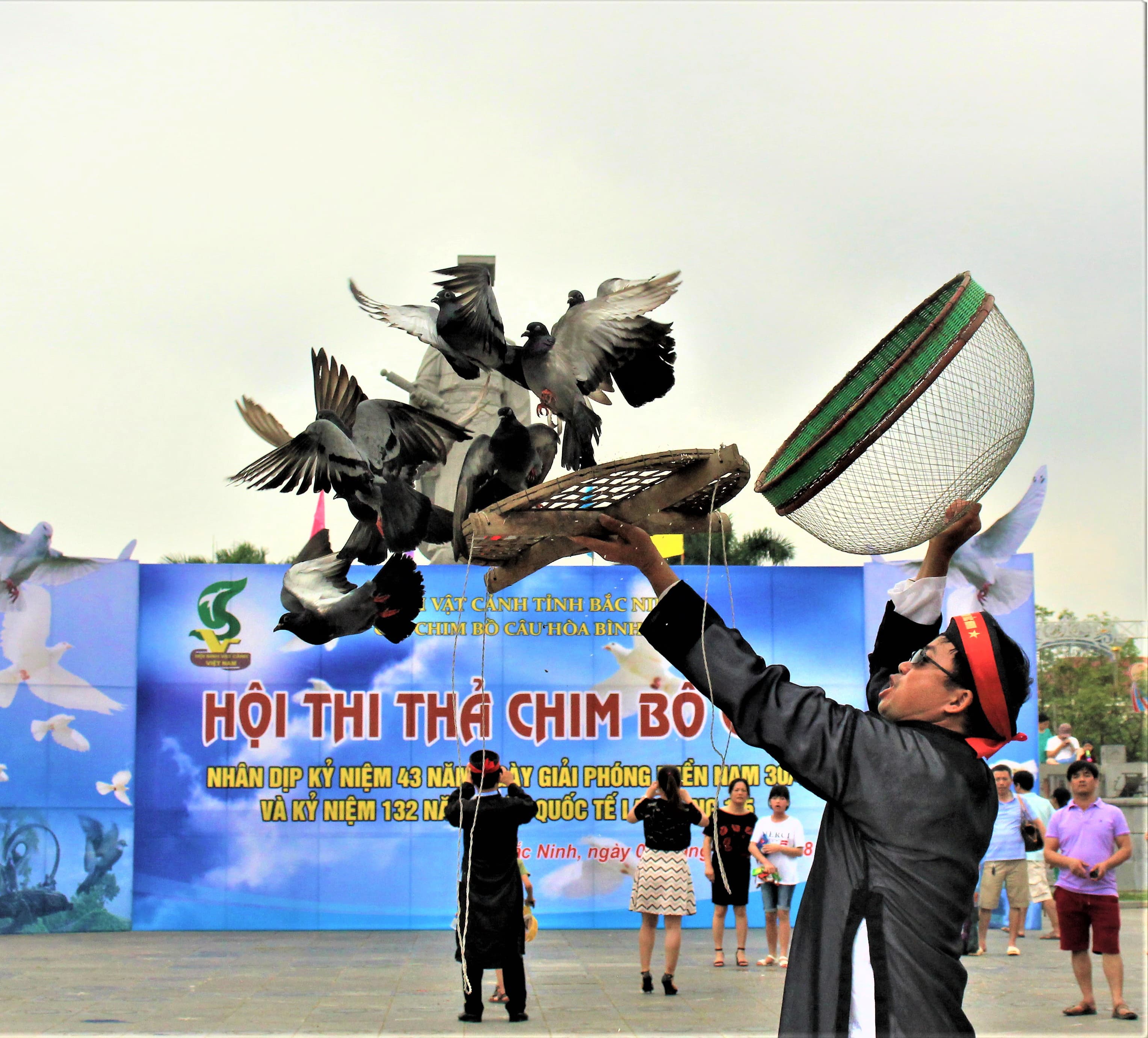 Hội sinh vật cảnh tỉnh Bắc Ninh thả 2.000 con chim bồ câu vì hòa bình