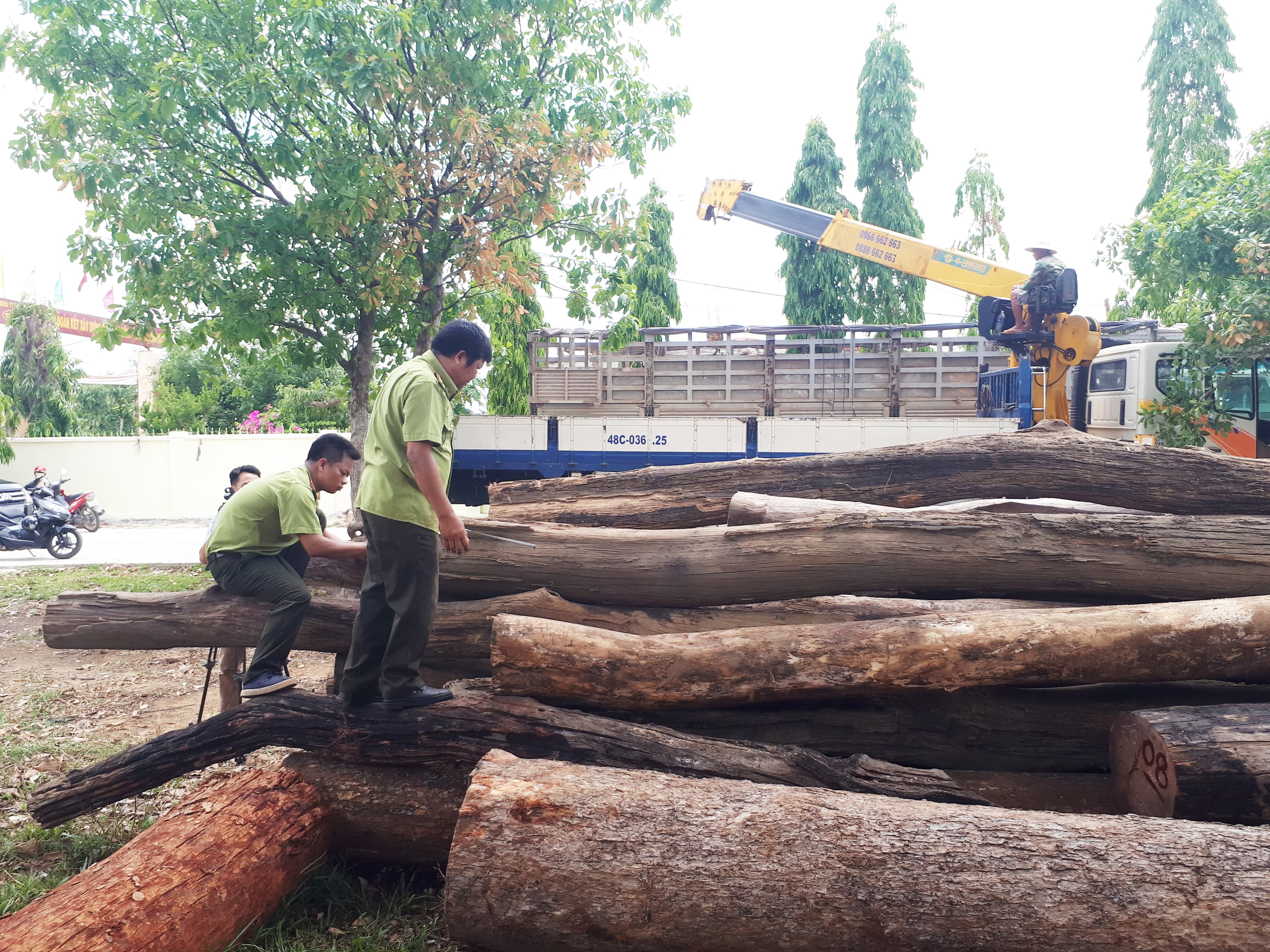 Vụ đường dây gỗ lậu tại Tây Nguyên: Bắt khẩn cấp đàn em Phan Hữu Phượng