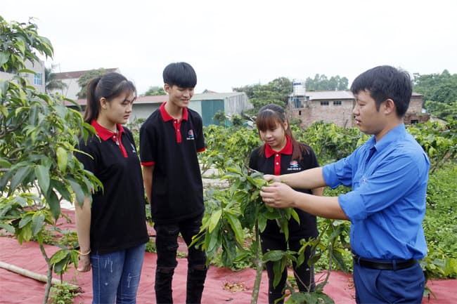 Cán bộ trẻ năng động